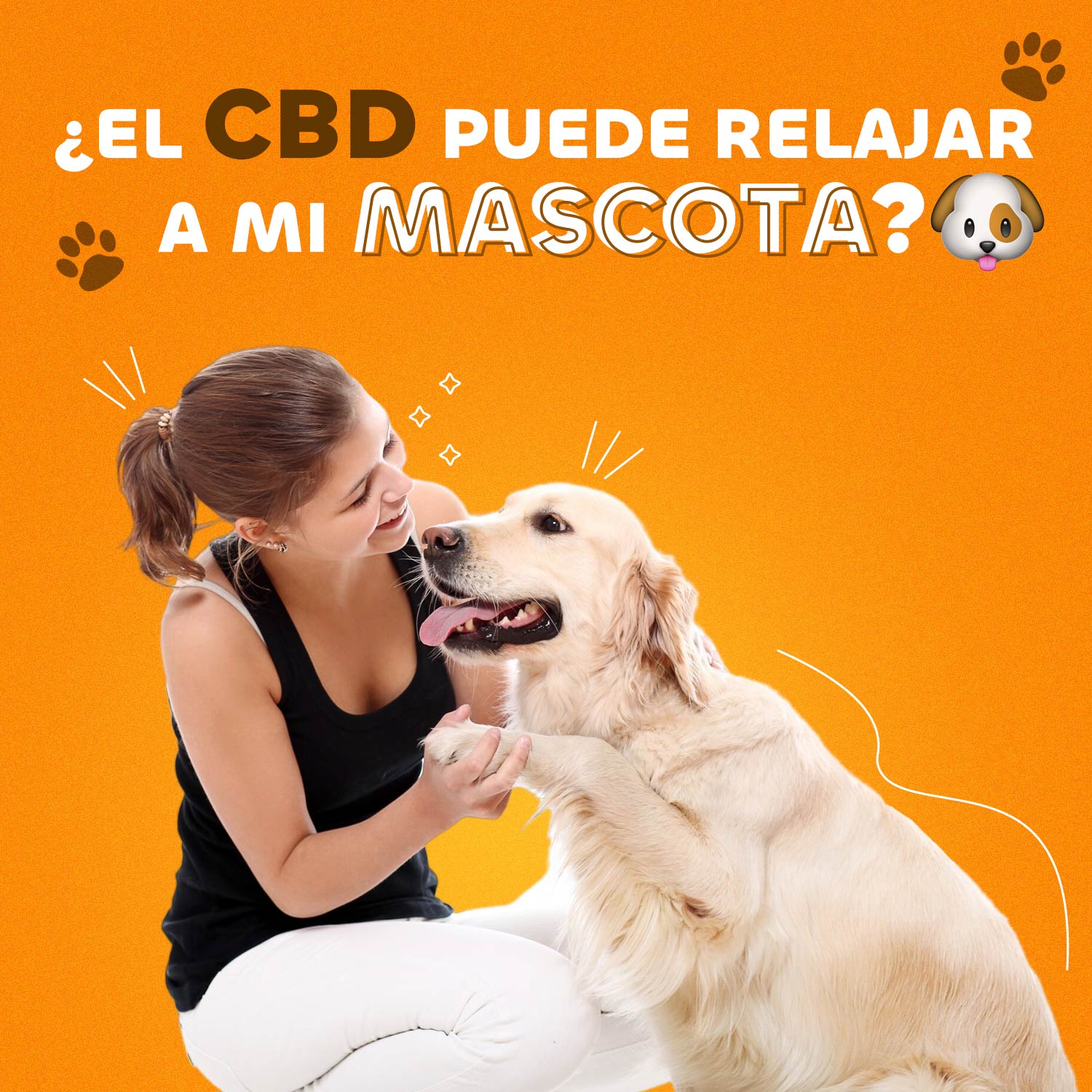 ¿El CBD puede relajar a mi mascota?