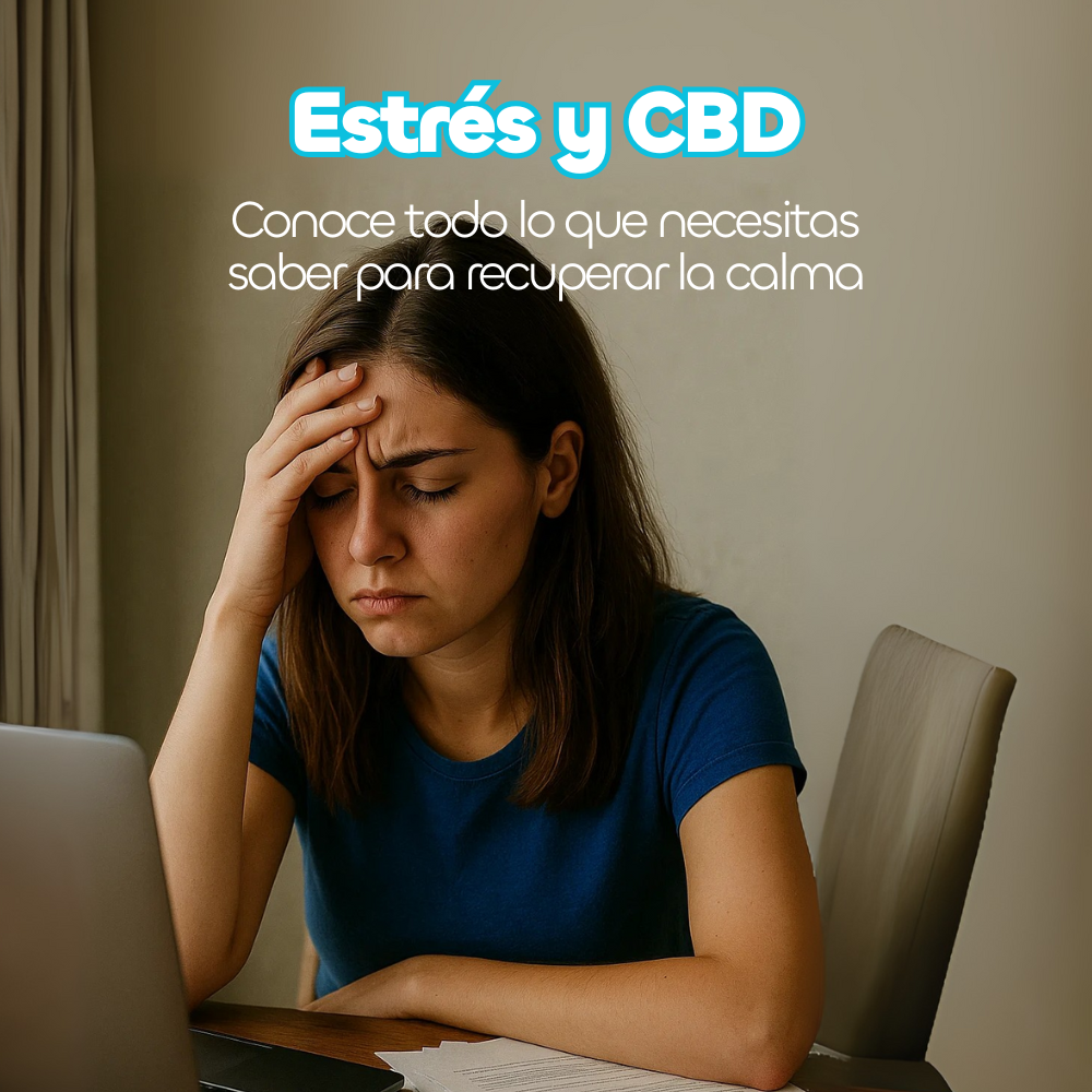 Estrés y CBD: lo que necesitas saber para recuperar la calma